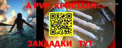 кокс Кингисепп