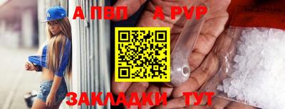 кокс Кингисепп