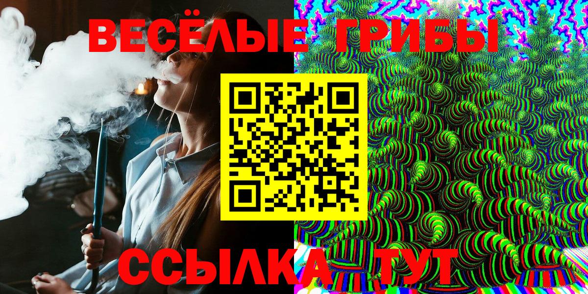 Галлюциногенные грибы Psilocybe  Галлюциногенные грибы прущие грибы  Кудымкар  Вход с VPN 