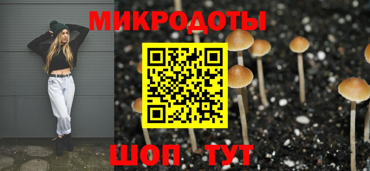 Галлюциногенные грибы Magic Shrooms Кудымкар